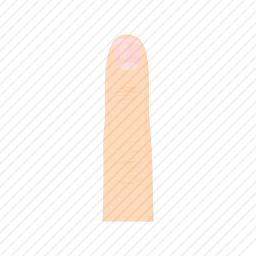 <em>手指</em>