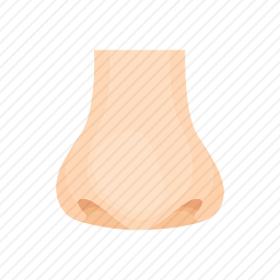 鼻子