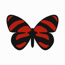 <em>蝴蝶</em>