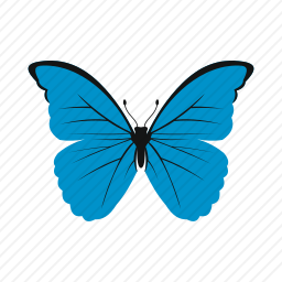<em>蝴蝶</em>