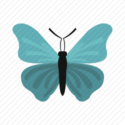 <em>蝴蝶</em>