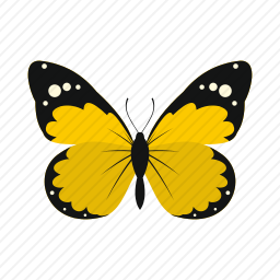 <em>蝴蝶</em>