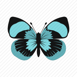 <em>蝴蝶</em>