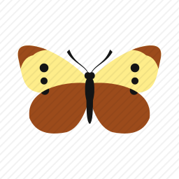 <em>蝴蝶</em>