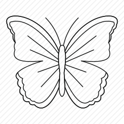 <em>蝴蝶</em>