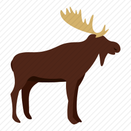 <em>驼鹿</em>