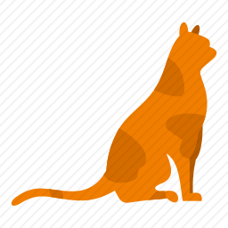 <em>猫咪</em>