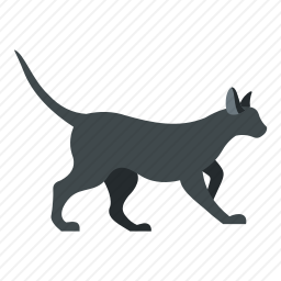 <em>猫咪</em>