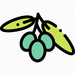 <em>橄榄</em>