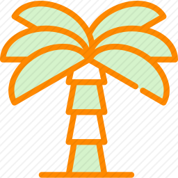 <em>棕榈树</em>