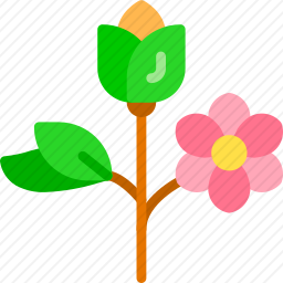 花