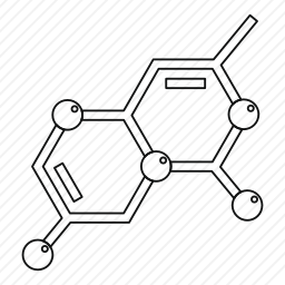 分子