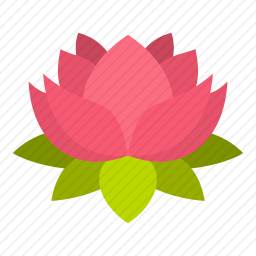 莲花