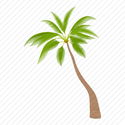 <em>棕榈树</em>