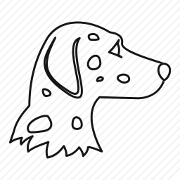 斑点狗