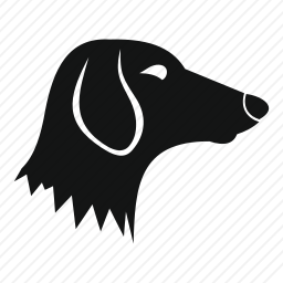 腊肠犬