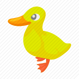 鸭子