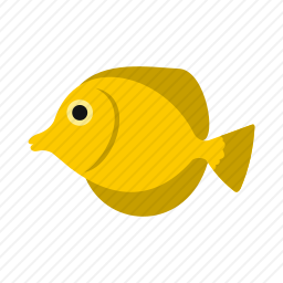 蝴蝶鱼
