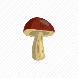 蘑菇