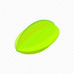 杨桃