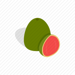 番石榴
