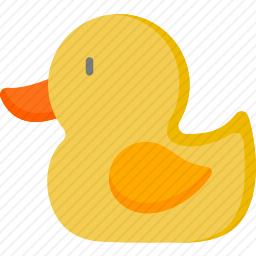 鸭子