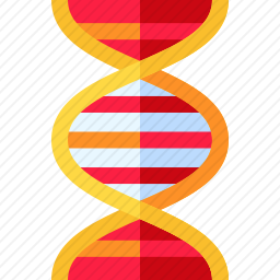 <em>ADN</em>