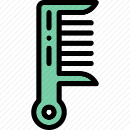 <em>梳子</em>