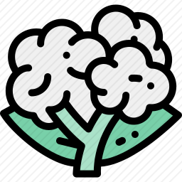 <em>花菜</em>