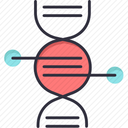 DNA