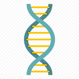 DNA