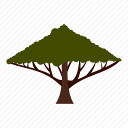 树