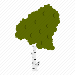 树