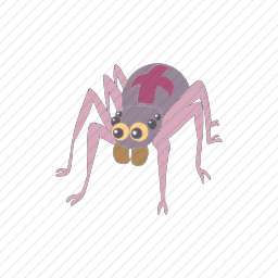 蜘蛛