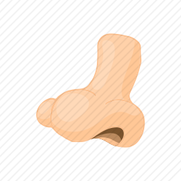 鼻子