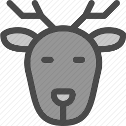 <em>鹿</em>
