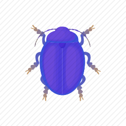 昆虫