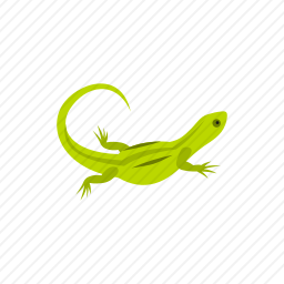 <em>蜥蜴</em>