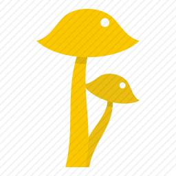 真菌