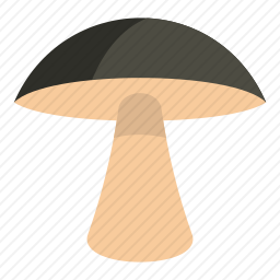 牛肝菌
