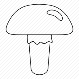 <em>蘑菇</em>