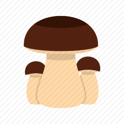 蘑菇