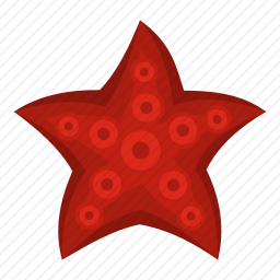 海星