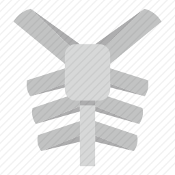 骨头