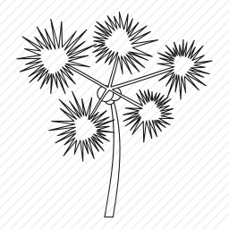 <em>棕榈树</em>
