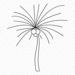 椰子树