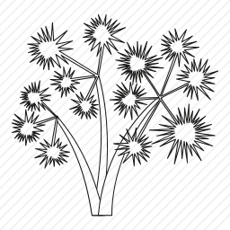 <em>棕榈树</em>