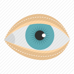 <em>眼睛</em>