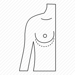 乳房