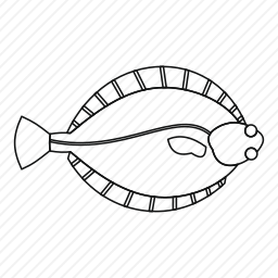 <em>比目鱼</em>